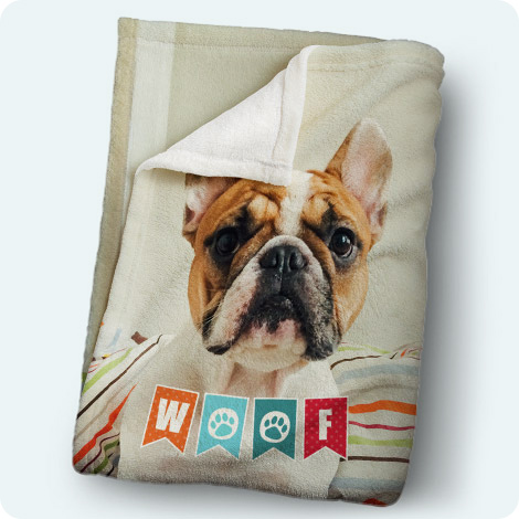 Couvertures Animaux de Compagnie + Humains 